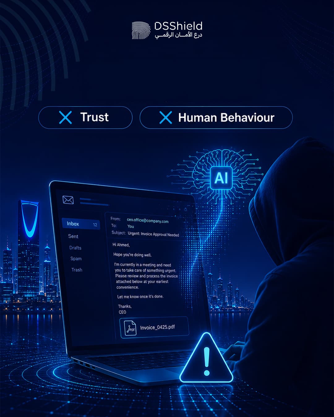 DSShield campaign creative — june